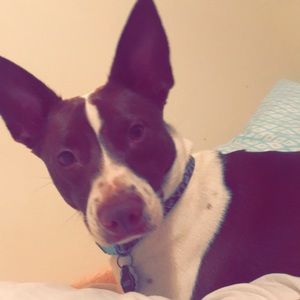 Meet your Posher, Kailee